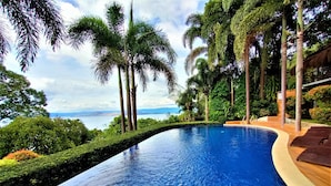 Una piscina infinita curva con vistas al océano, rodeada de palmeras y follaje.