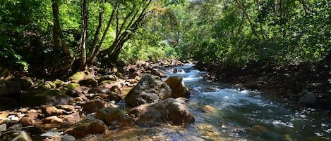 A natural stream surrounded by rocks and trees.