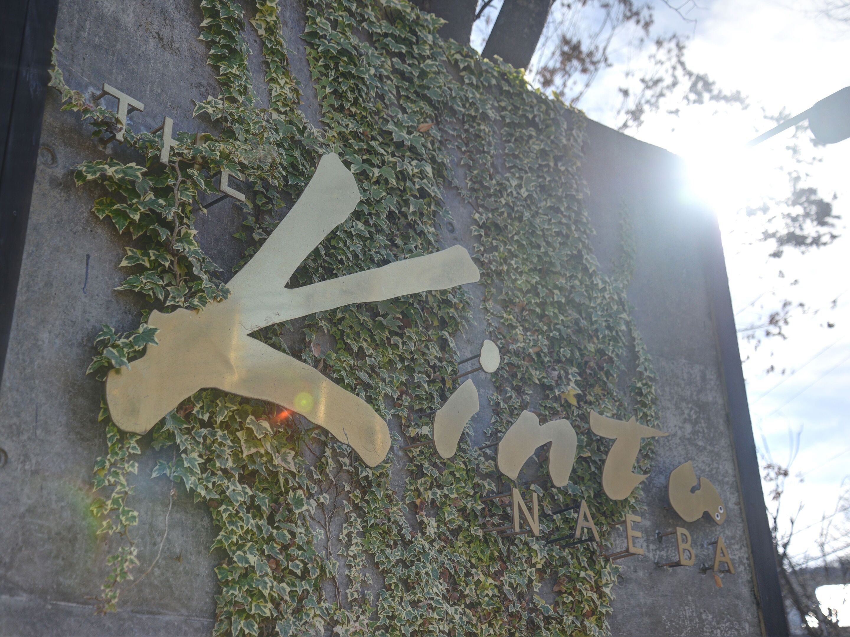 A building facade with a large, stylized 'Kint' sign surrounded by ivy.