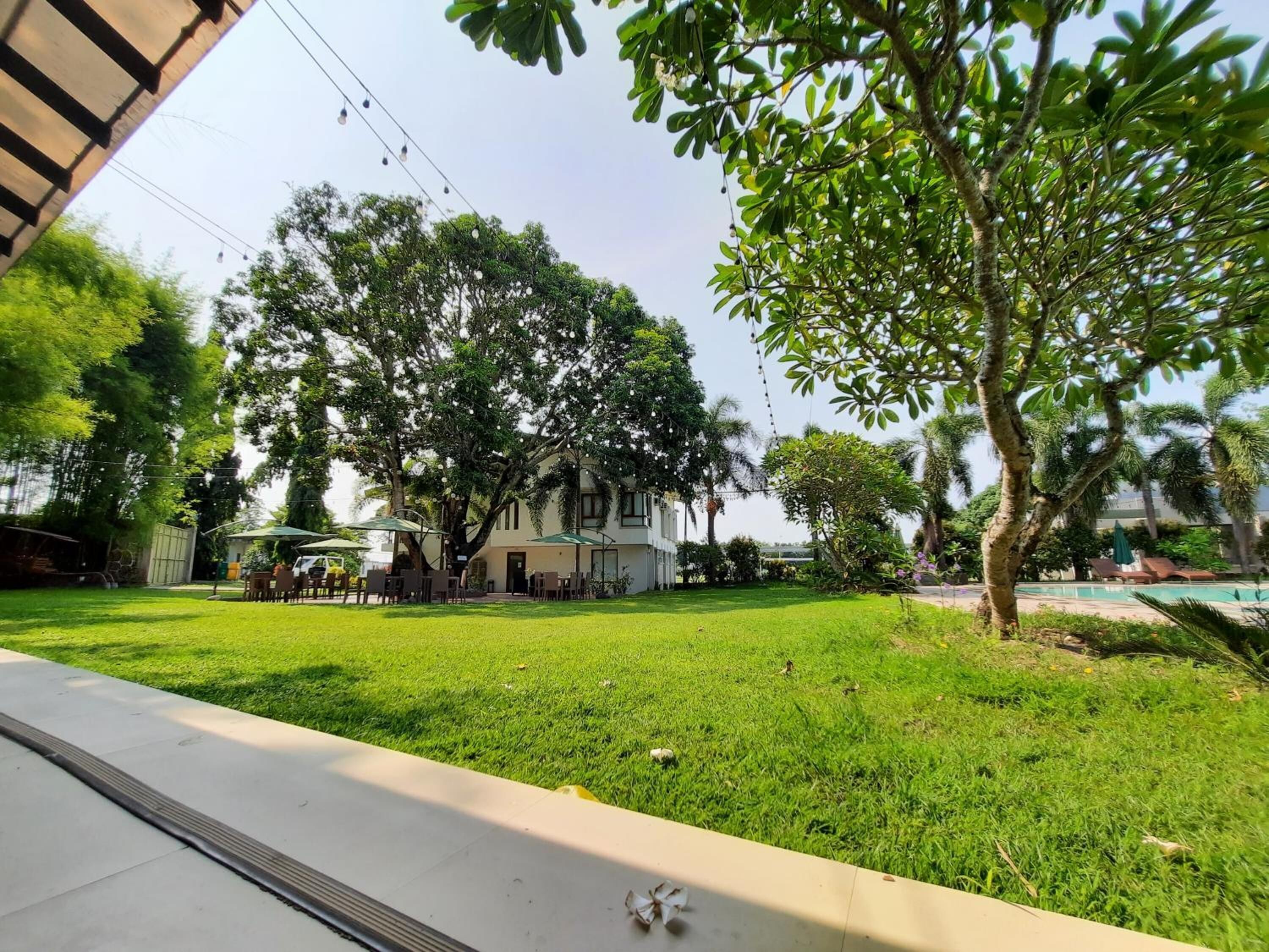 Un área verde bien cuidada con mobiliario exterior y piscina, rodeada de árboles y un edificio con amplias ventanas.