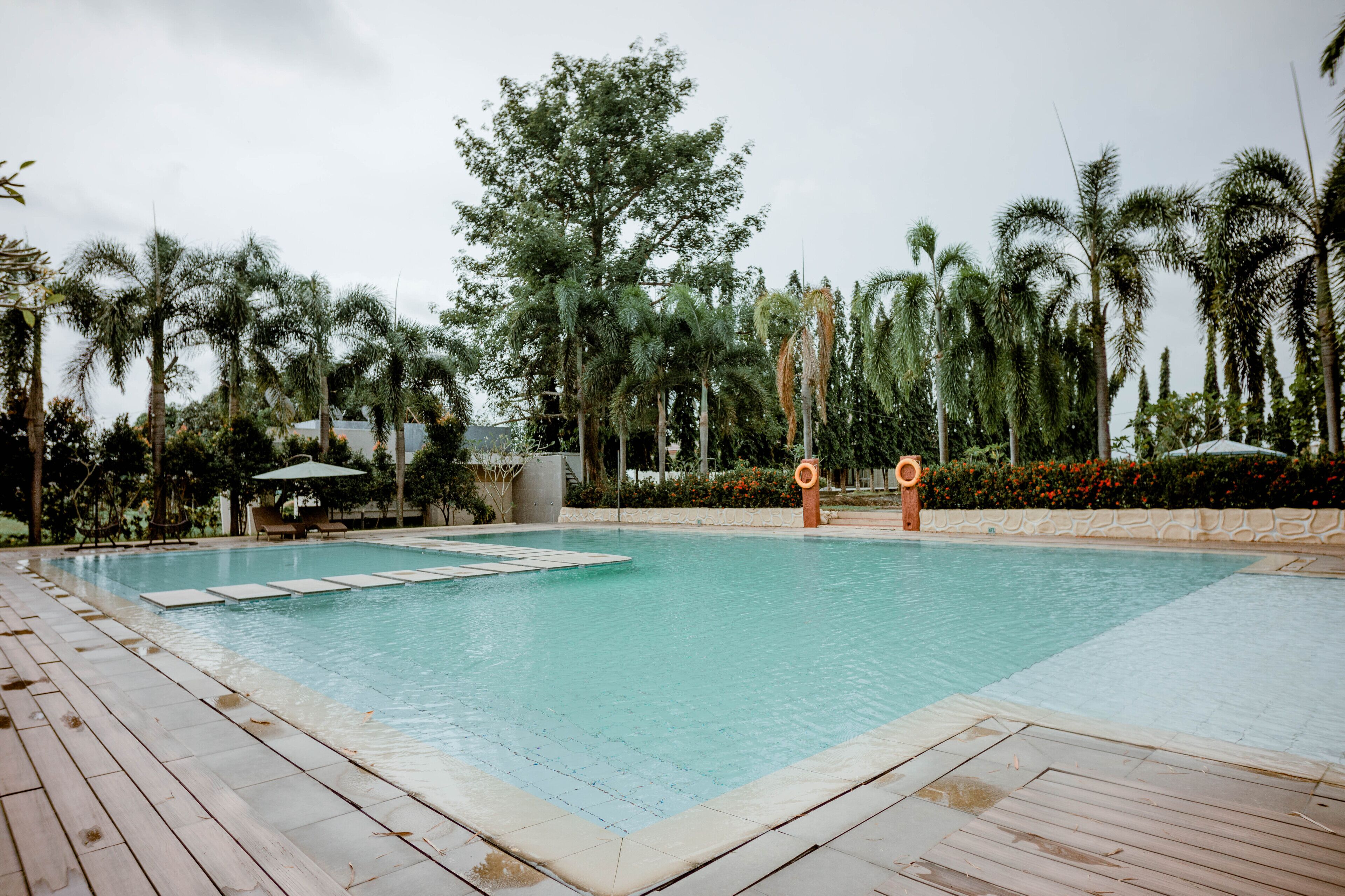 Una piscina rectangular con un muelle de madera alrededor, palmeras y un muro de piedra.