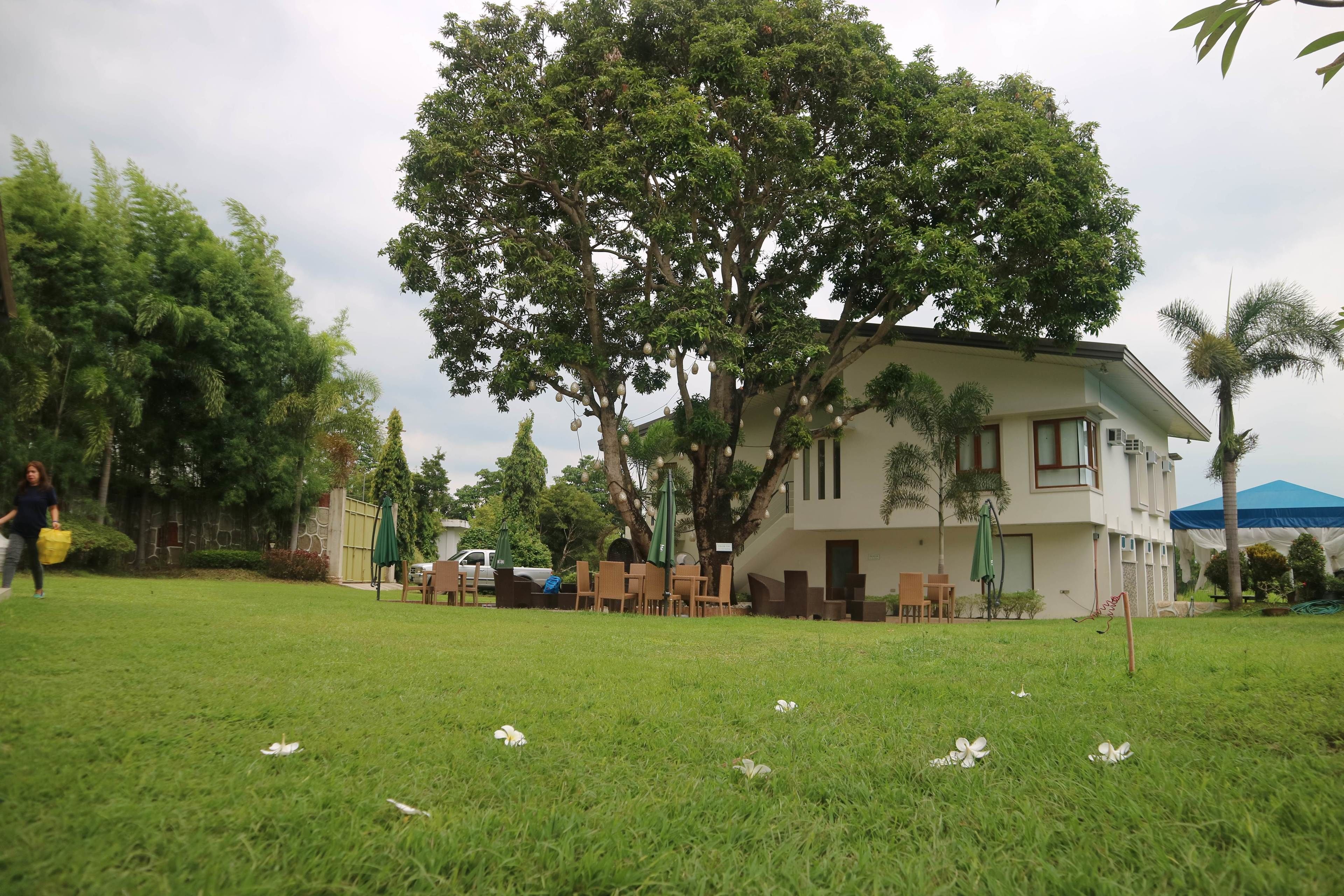 A building with a large tree in front, a lawn, and outdoor furniture.