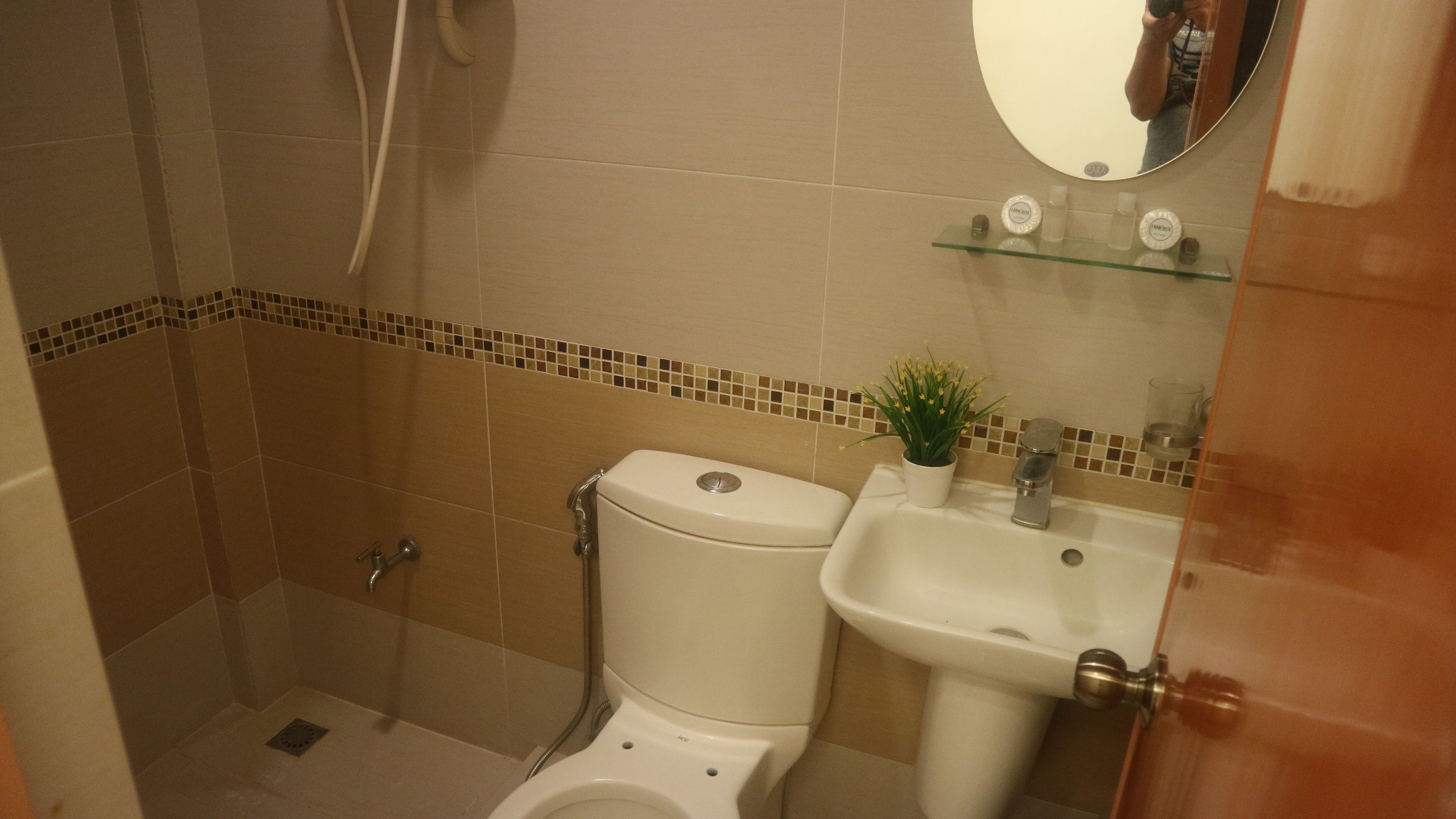 A bathroom with a toilet, sink, shower, and a small potted plant.
