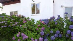 Uklassifisert bilde, 4 av 81, knapp