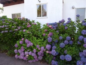 Property grounds - Guest House Vingt-neuf (Yuzawa)