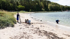Une plage où des gens jouent, avec une forêt en arrière-plan.