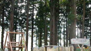 A forested area with a wooden swing set and a rustic wooden table. - Allumeur (Minamiuonuma)