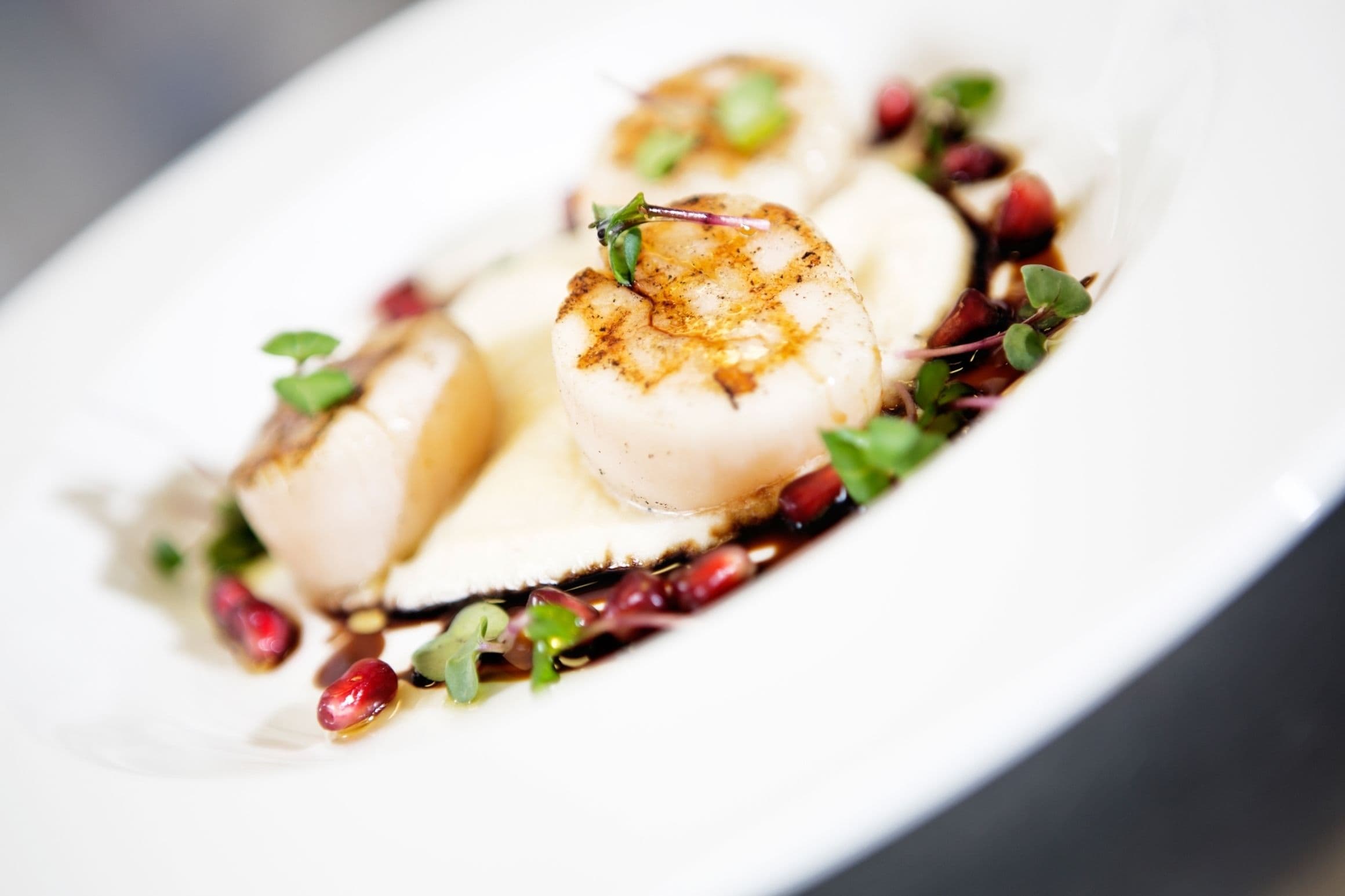 A white plate with seared scallops, garnished with microgreens and pomegranate seeds.