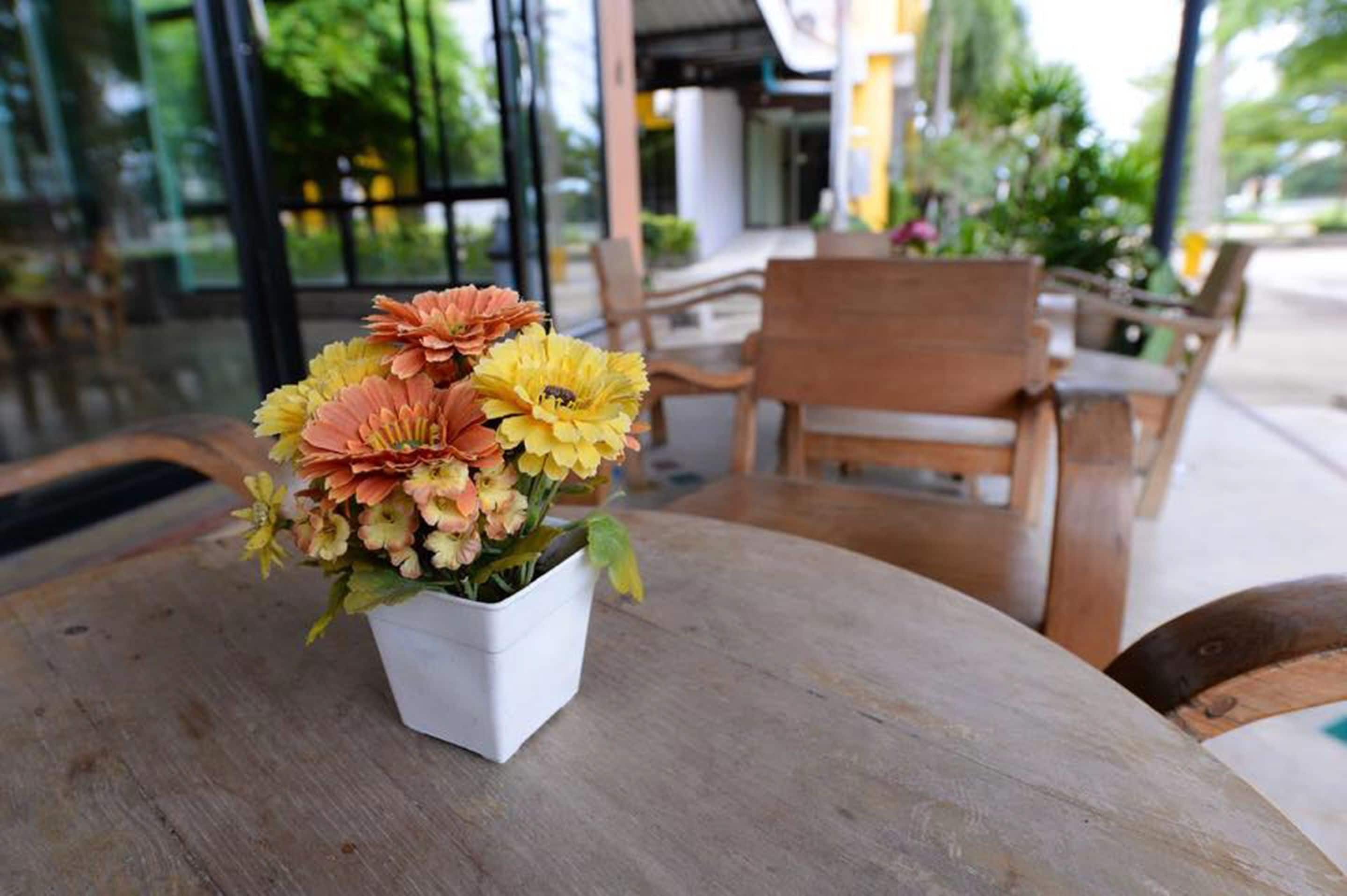 Foto - Paradise Resort