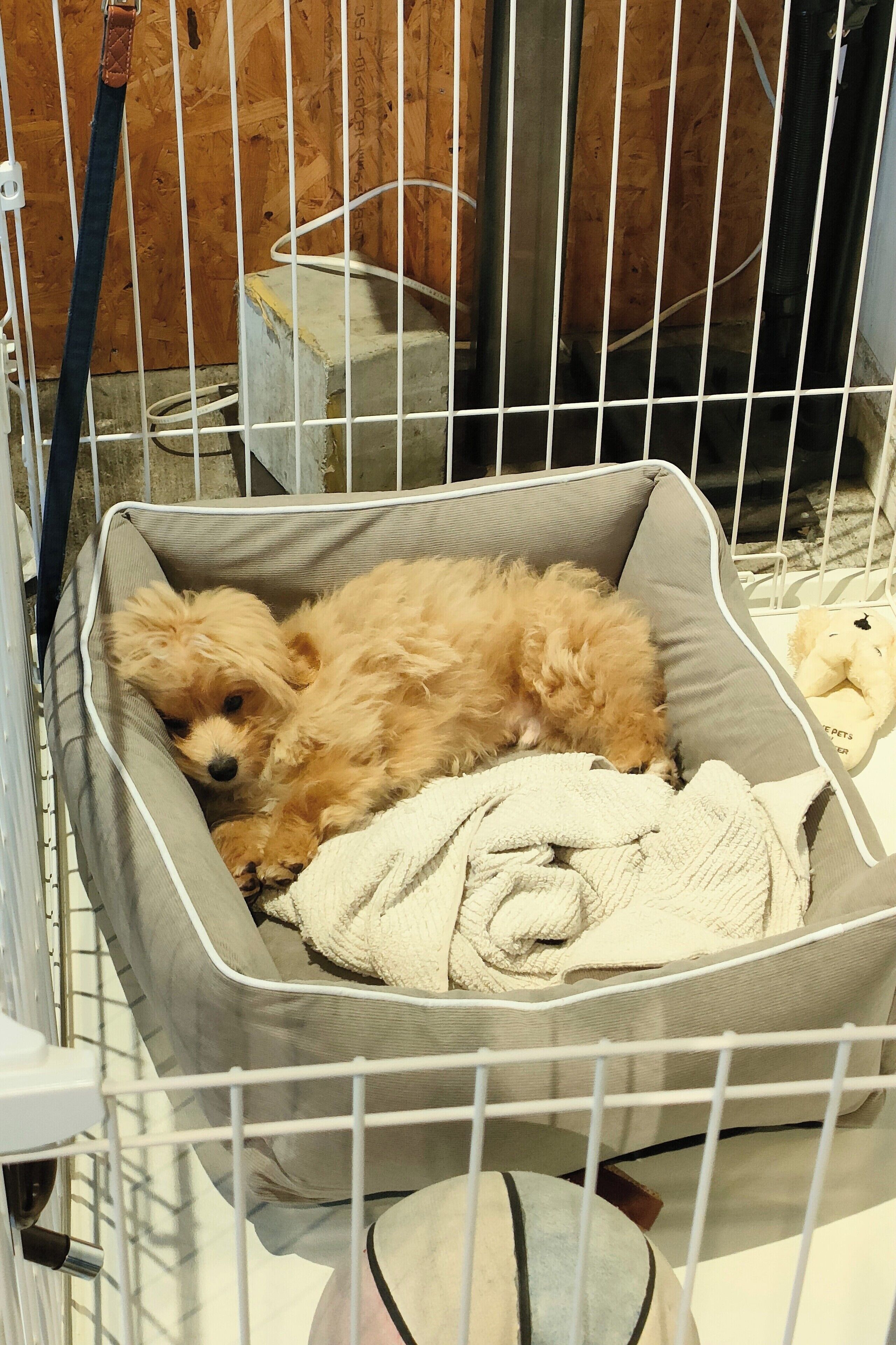 Photo - Tokyo Guest House Ouji Music Lounge