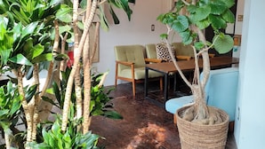Una habitación con comedor, una planta grande en maceta y una silla.