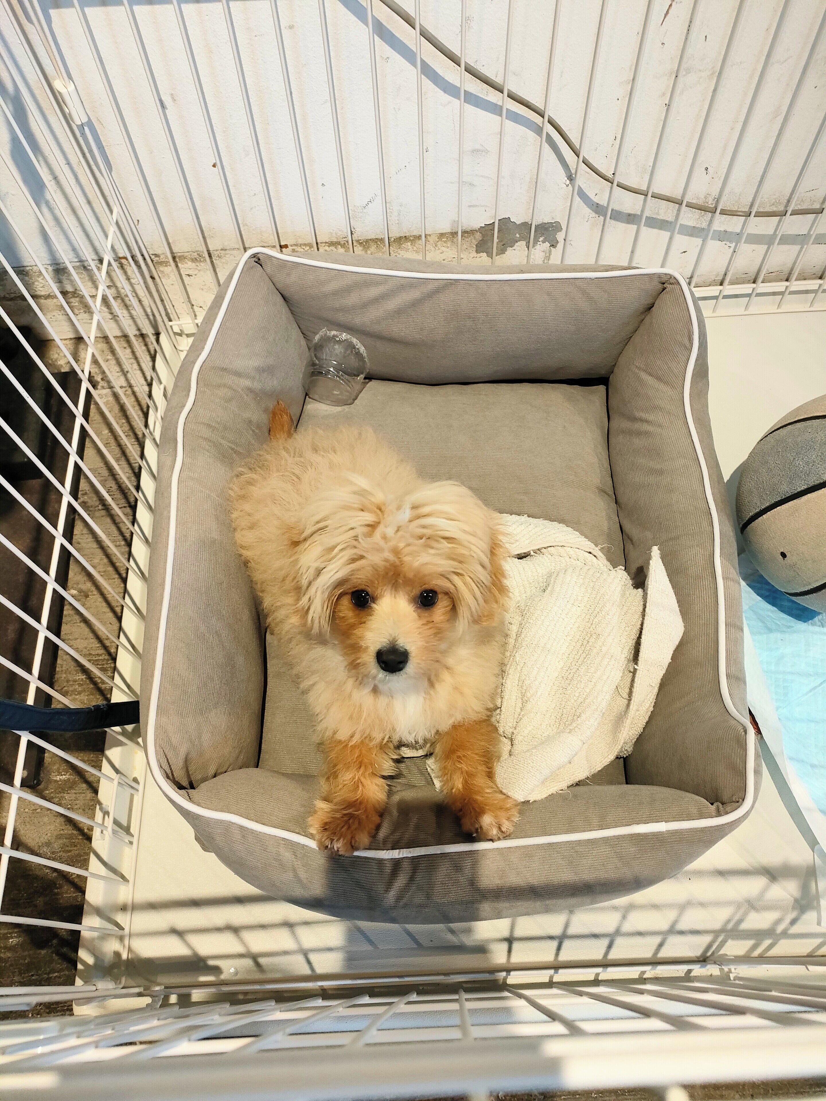 Photo - Tokyo Guest House Ouji Music Lounge