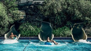 A water slide with two people sliding down, surrounded by a pool and greenery. - Sindbad Club (Hurghada)
