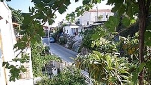Una calle estrecha bordeada de abundante vegetación y edificios blancos con balcones.