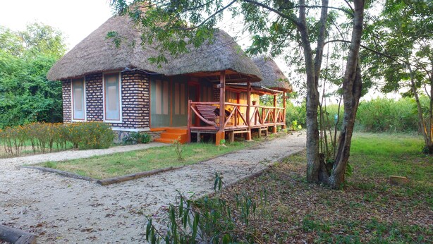 Business Double Room, 1 Double Bed, Park View, Garden Area - Irungu Forest Safari Lodge (Kasese)
