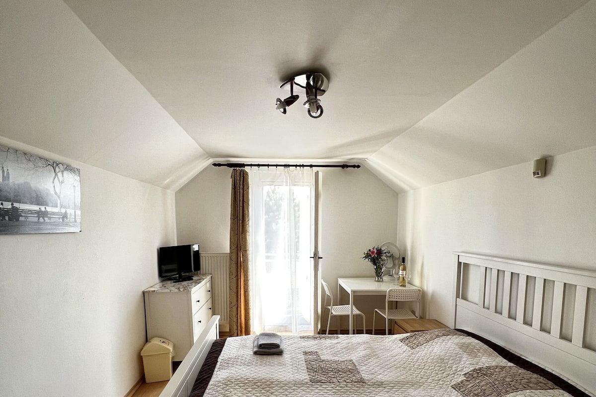 A bedroom with a large bed, a desk, a chair, and a small table with a plant.