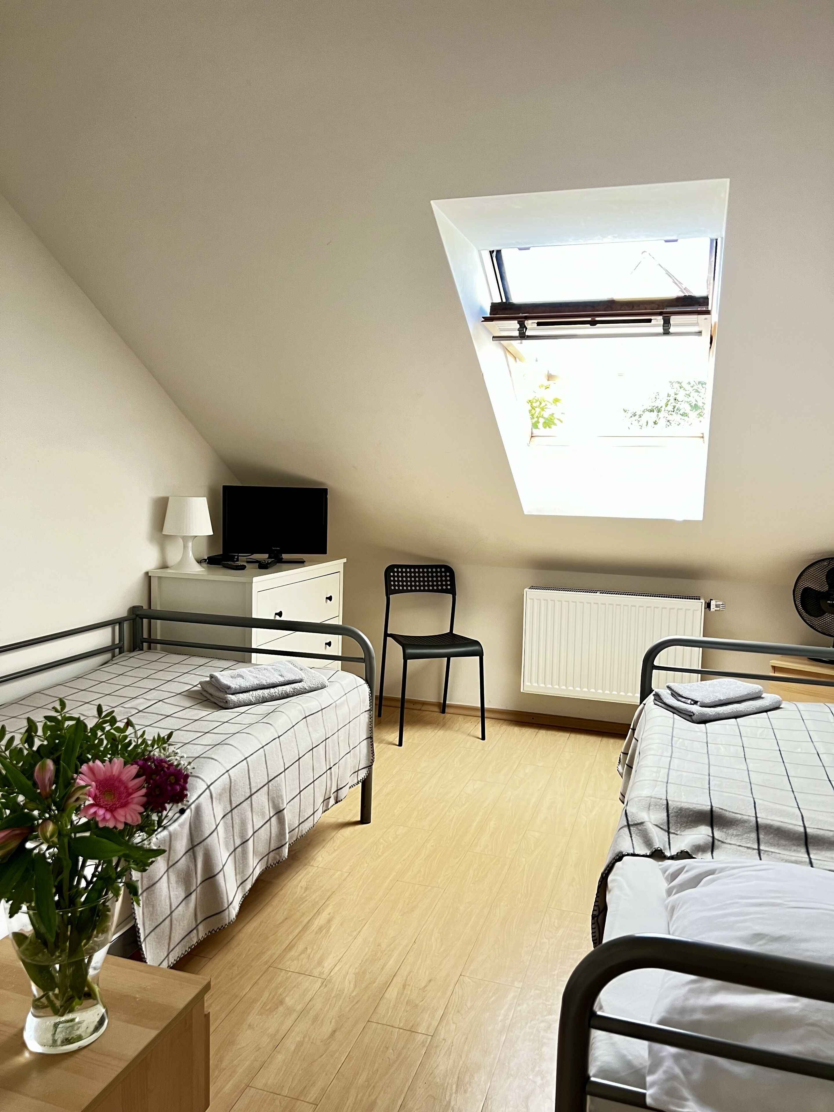 Photo - Penzion Sofi