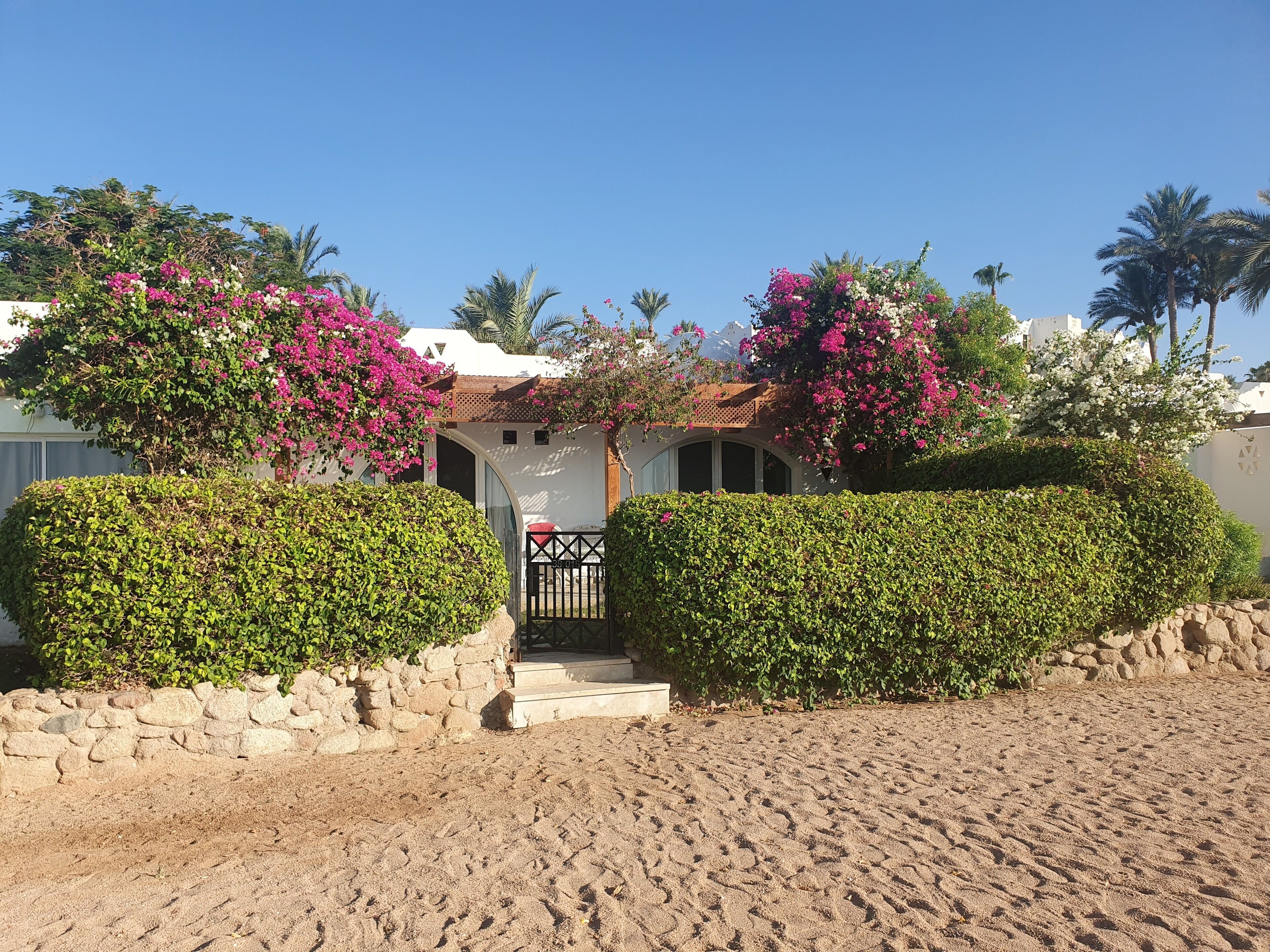 Chalet, Kitchen, Sea View | Terrace/patio