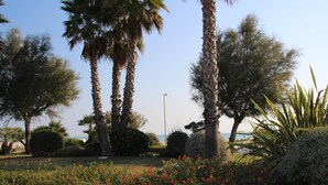 A landscaped garden with palm trees, red flowers, and a clear view of the sea in the background. - B&b Sogni d'Oro (Civitanova Marche)