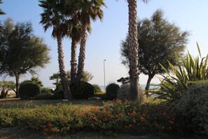 Property grounds - B&b Sogni d'Oro (Civitanova Marche)