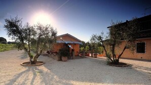A building with a gravel driveway and potted olive trees. - Cerchio Verde (Pitigliano)