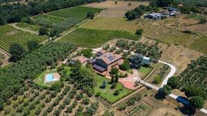 An aerial view of a vineyard estate with terraced fields, a swimming pool, and a main building surrounded by trees. - Cerchio Verde (Pitigliano)