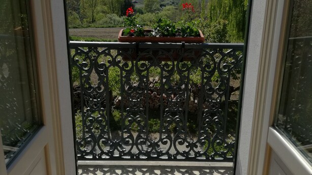 A balcony with a wrought iron railing, a potted plant with red flowers, and a view of a mountainous landscape. - Il Casino di Donna Maria (Mormanno)