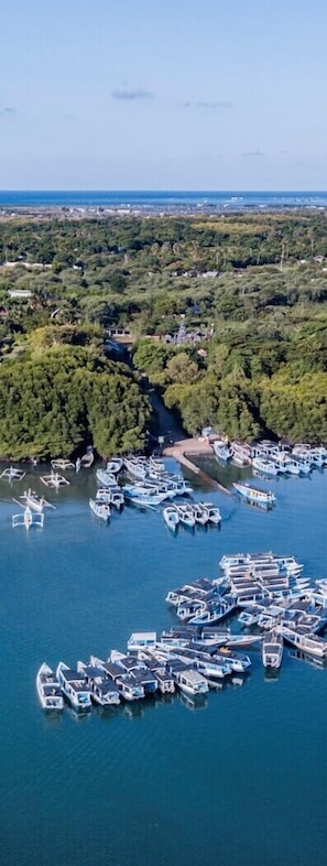 Boating - Batu Ampar Menjangan (Pejarakan)