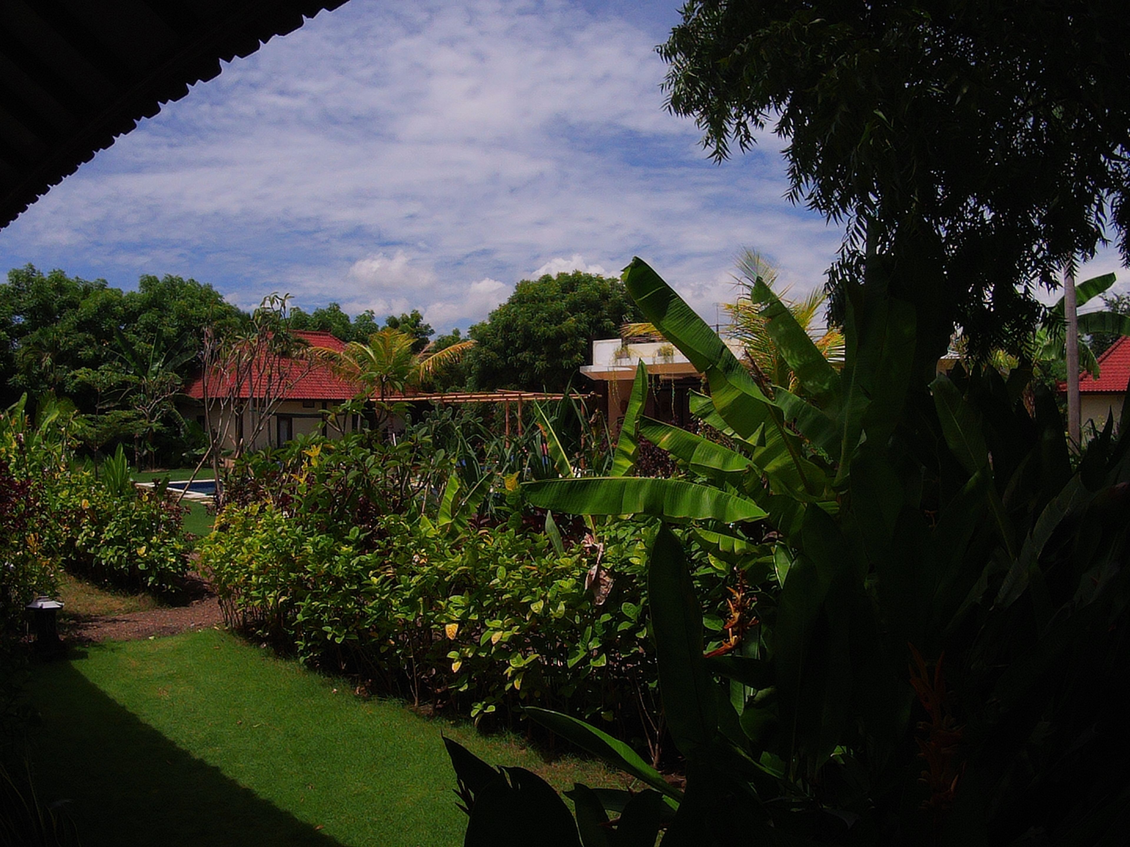 Vista desde la propiedad