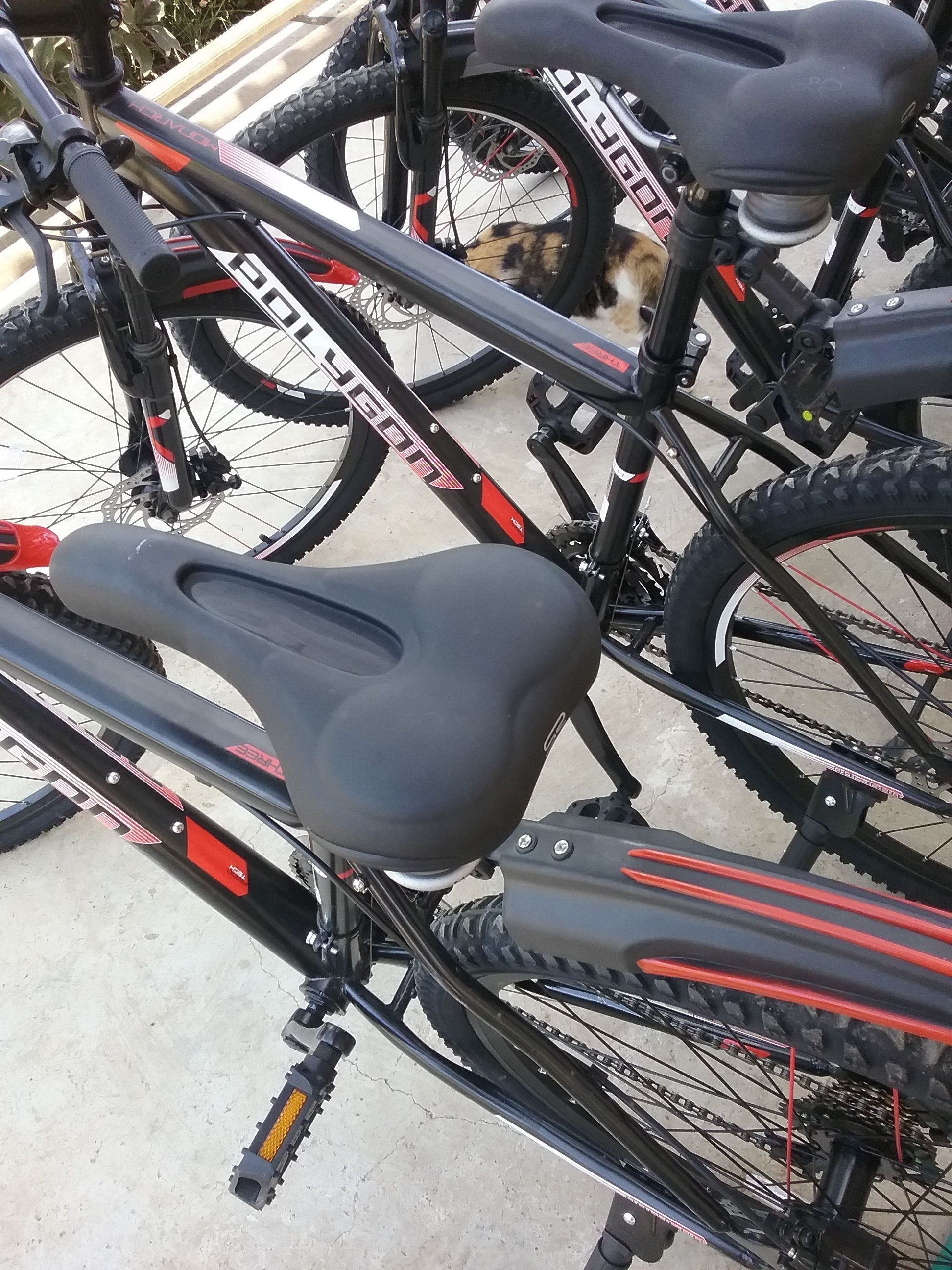 Ein Fahrrad mit schwarzem Sattel und roten Akzenten, abgestellt auf einer Betonfläche.