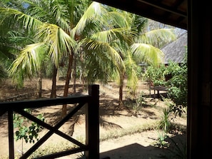 Escape to a serene tropical oasis with lush greenery and a tranquil atmosphere.