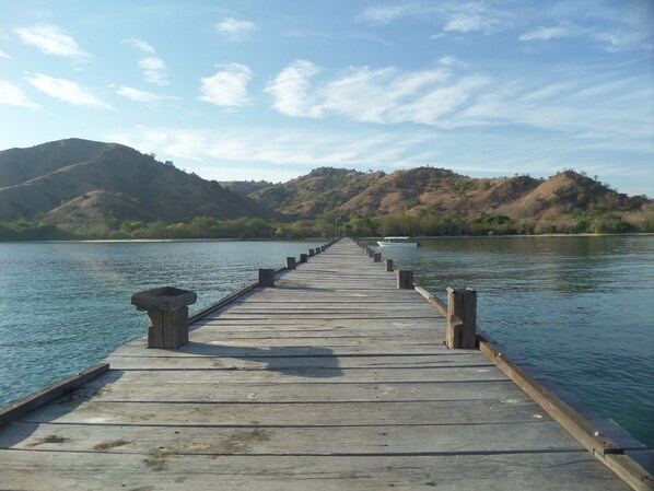 Muelle