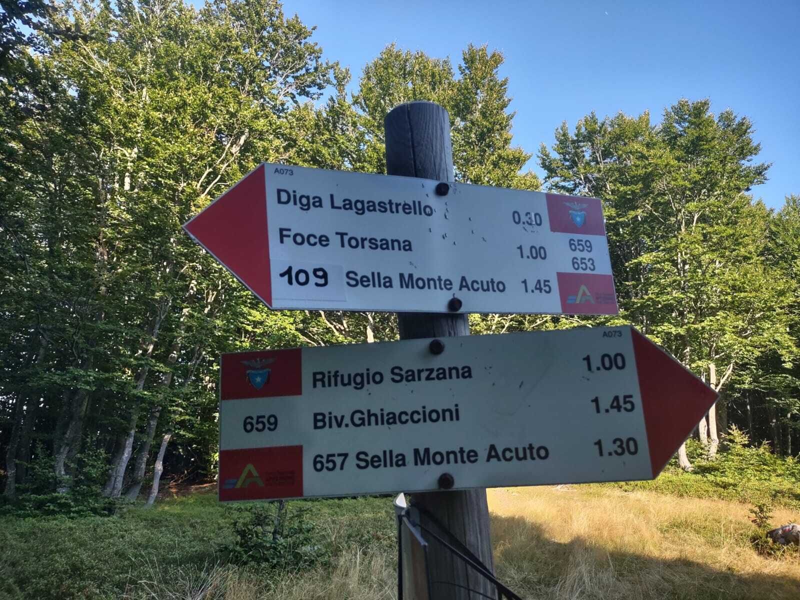 Directional signs for Diga Lagastrello, Foce Torsana, and Sella Monte Acuto with distances and route numbers.