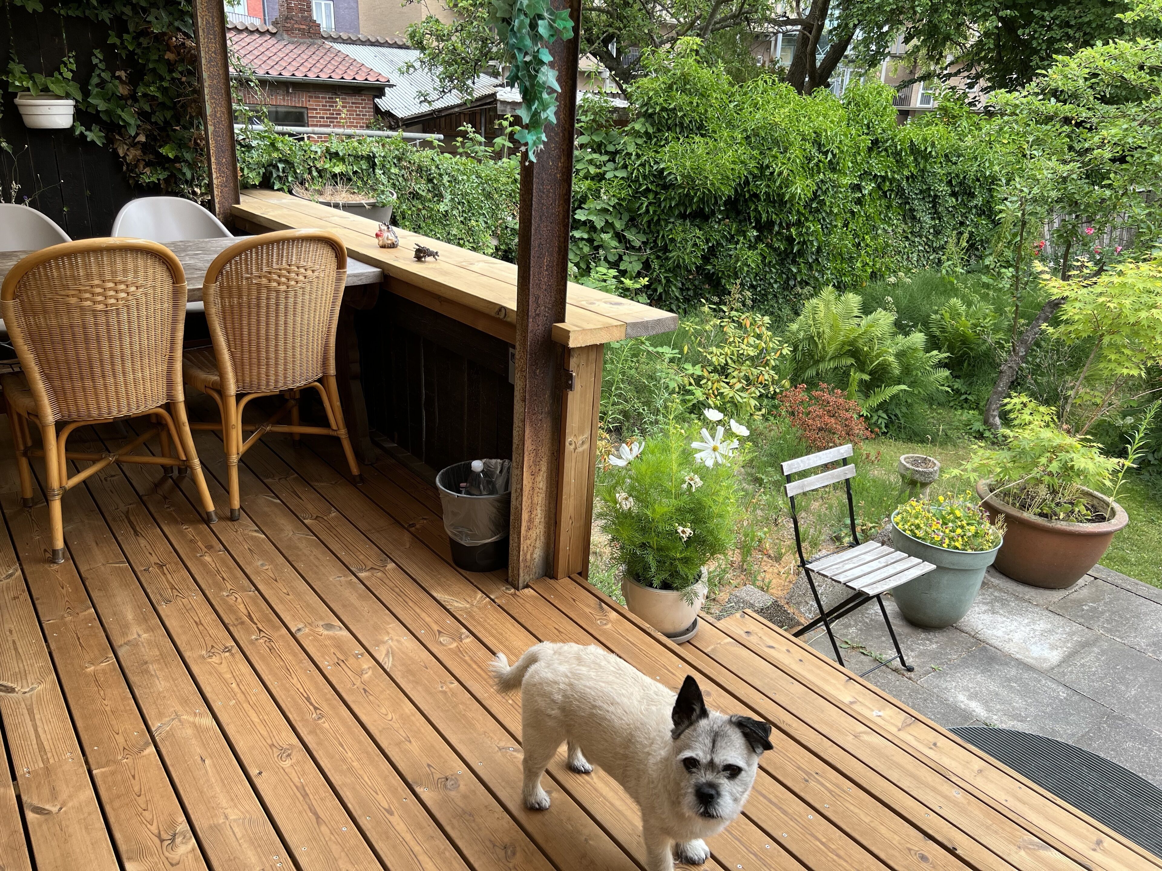 Terrasse/gårdhave