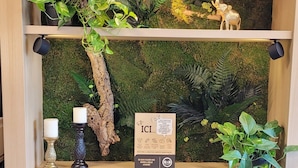 A wooden shelf unit with multiple shelves, each containing various decorative items and plants.