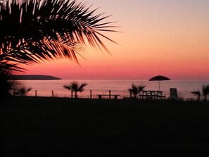 A beach scene with palm trees, a pier, and a sunset over the water.