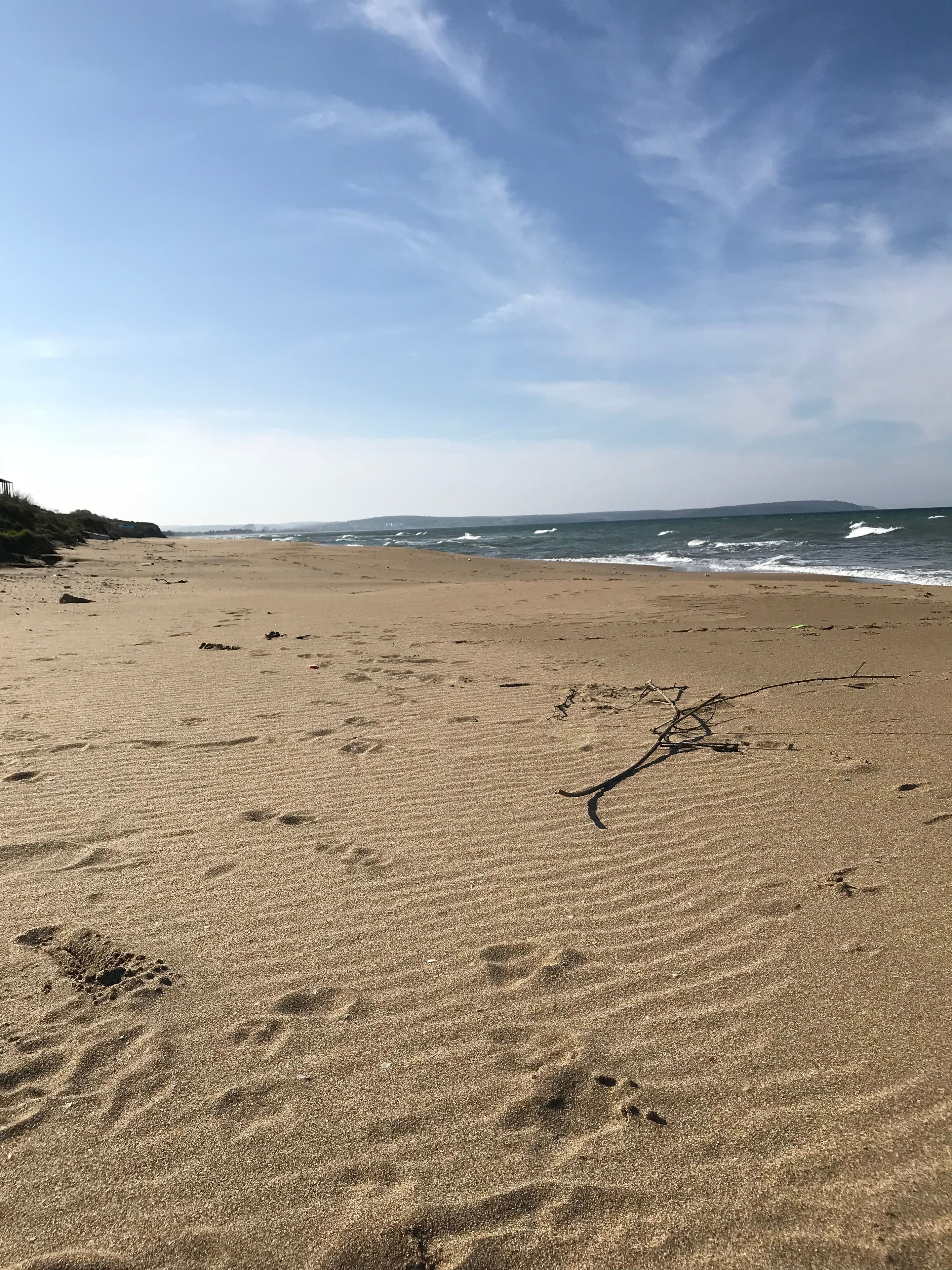 해변에 위치, 백사장, 비치 타월