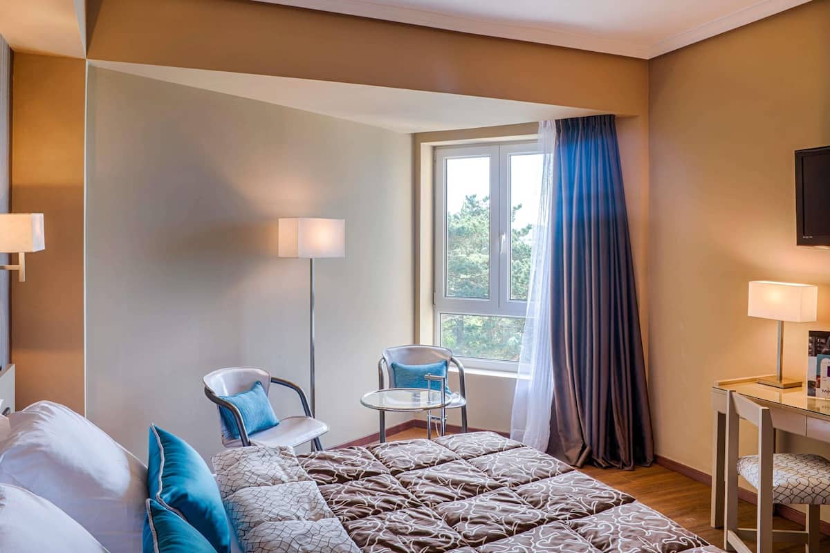 Standard Room, Mountain View | Minibar, in-room safe, desk, blackout drapes