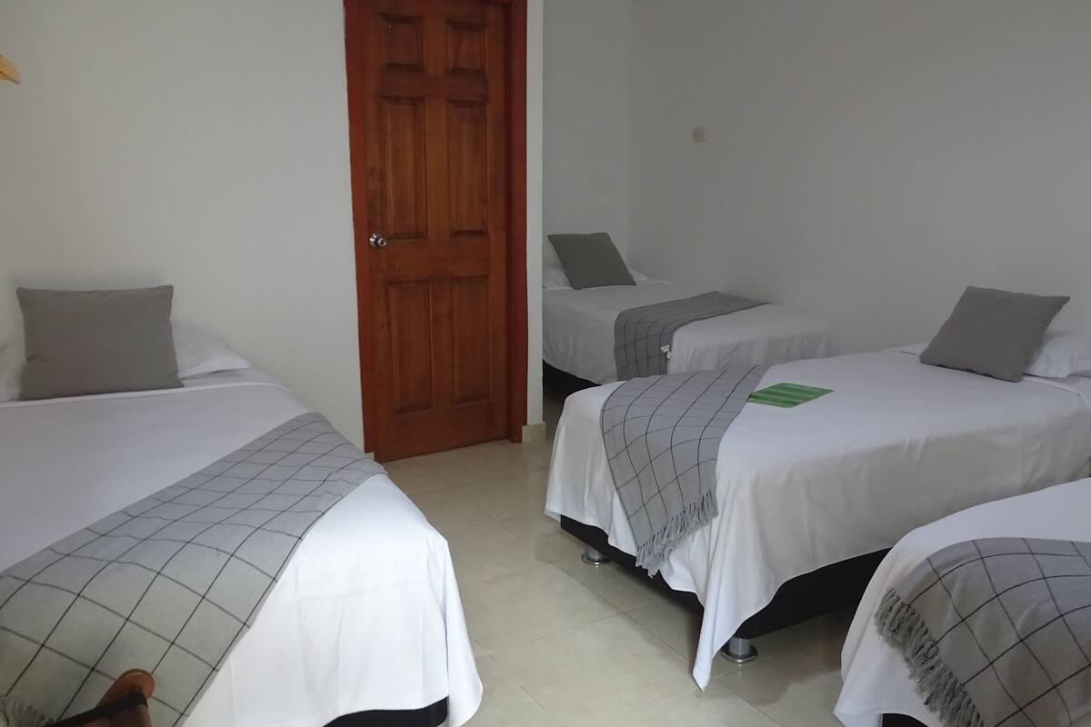 Une chambre avec trois lits, chacun recouvert d’une couverture à carreaux gris, une porte en bois et des murs blancs.
