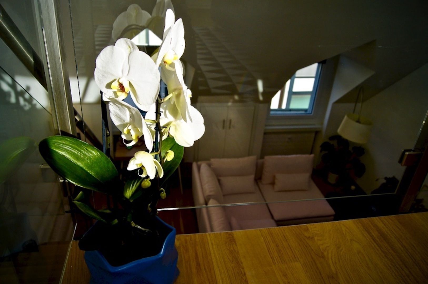 deluxe suite, 3 bedrooms, connecting rooms, mezzanine | view from room