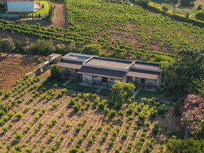 Aerial view - Bagbadem Tatil Ciftliği (Bozcaada)