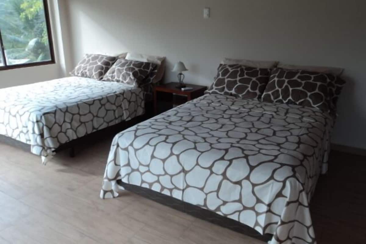 Chambre Double ou avec lits jumeaux, 1 lit double ou 2 lits jumeaux, vue océan, en bord de plage