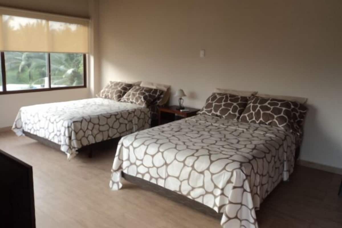 Chambre Double Familiale, 2 lits doubles, vue océan, en bord de plage