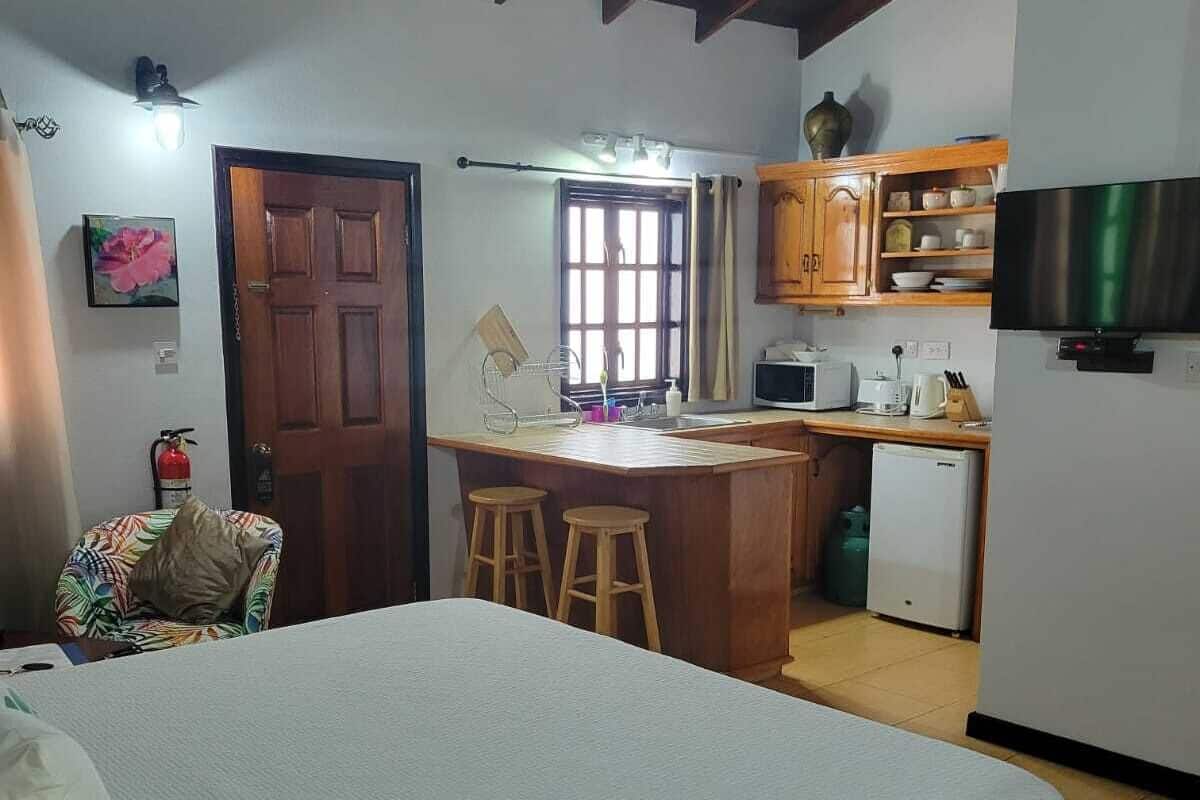 Suite Standard, vue sur le jardin (Lucian Home) | SystĂšme dâinsonorisation, fer et planche Ă repasser