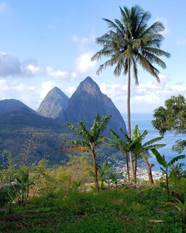 Un paysage montagneux, avec des palmiers et un ciel dégagé.