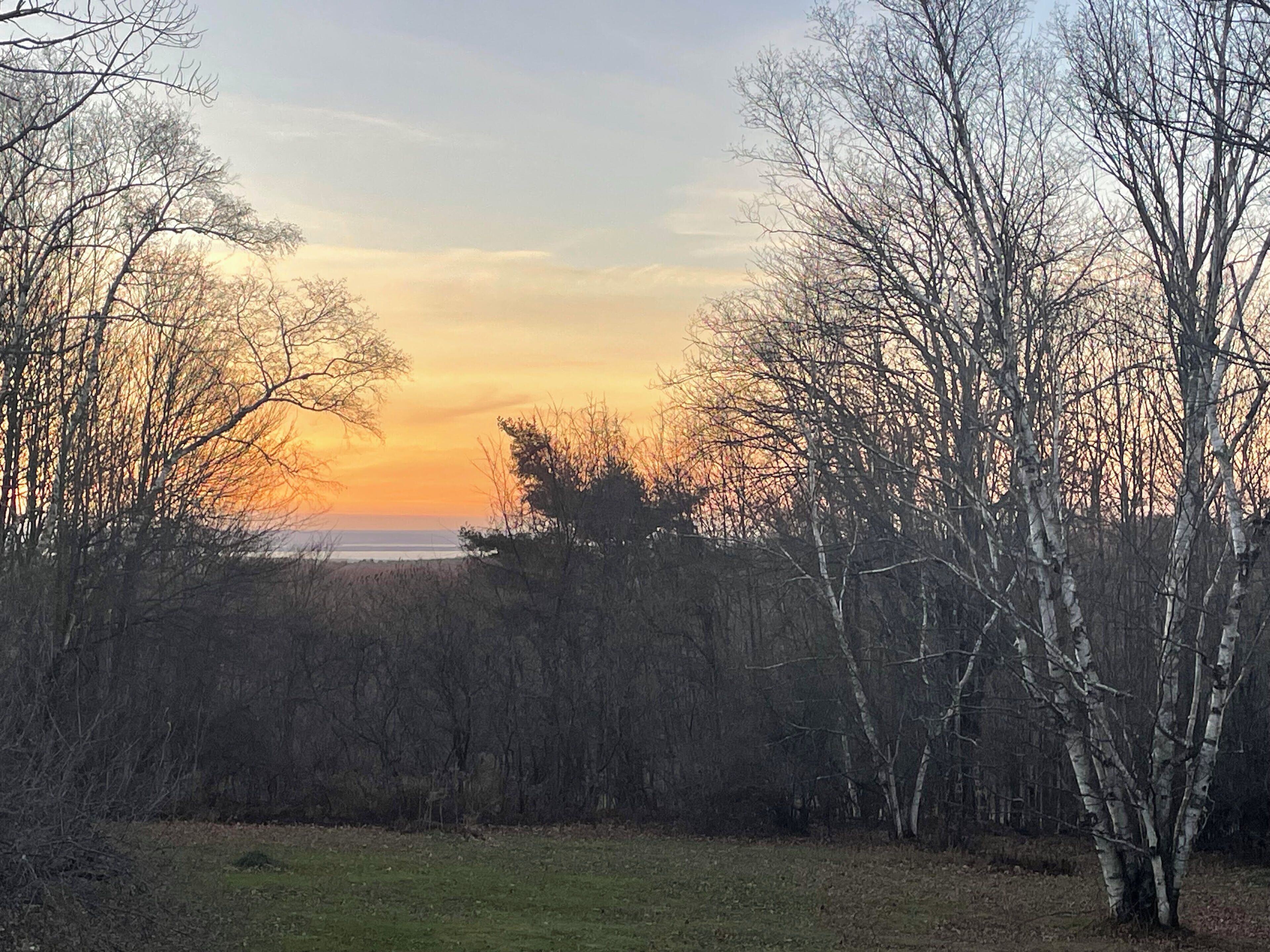 A natural landscape with trees and a view of the horizon.