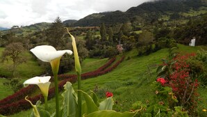 Pemandangan gunung