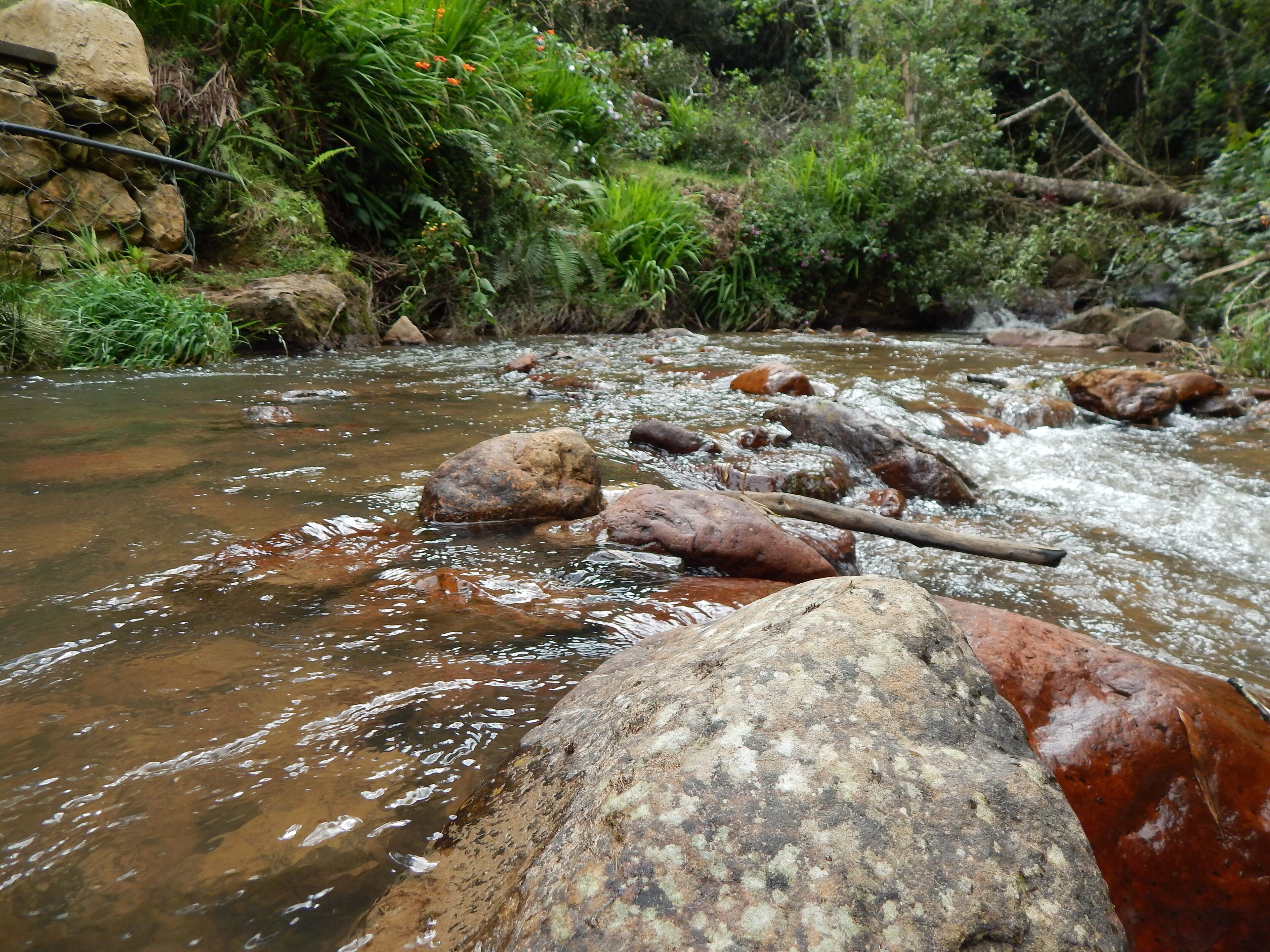 Une rivière à l’eau claire, bordée de rochers et de végétation.