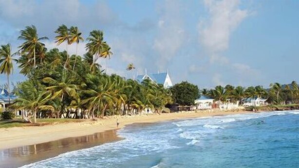 Property grounds - Tobago Plantations Condo 9B (Lowlands)