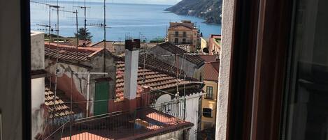 Double Room | View from room